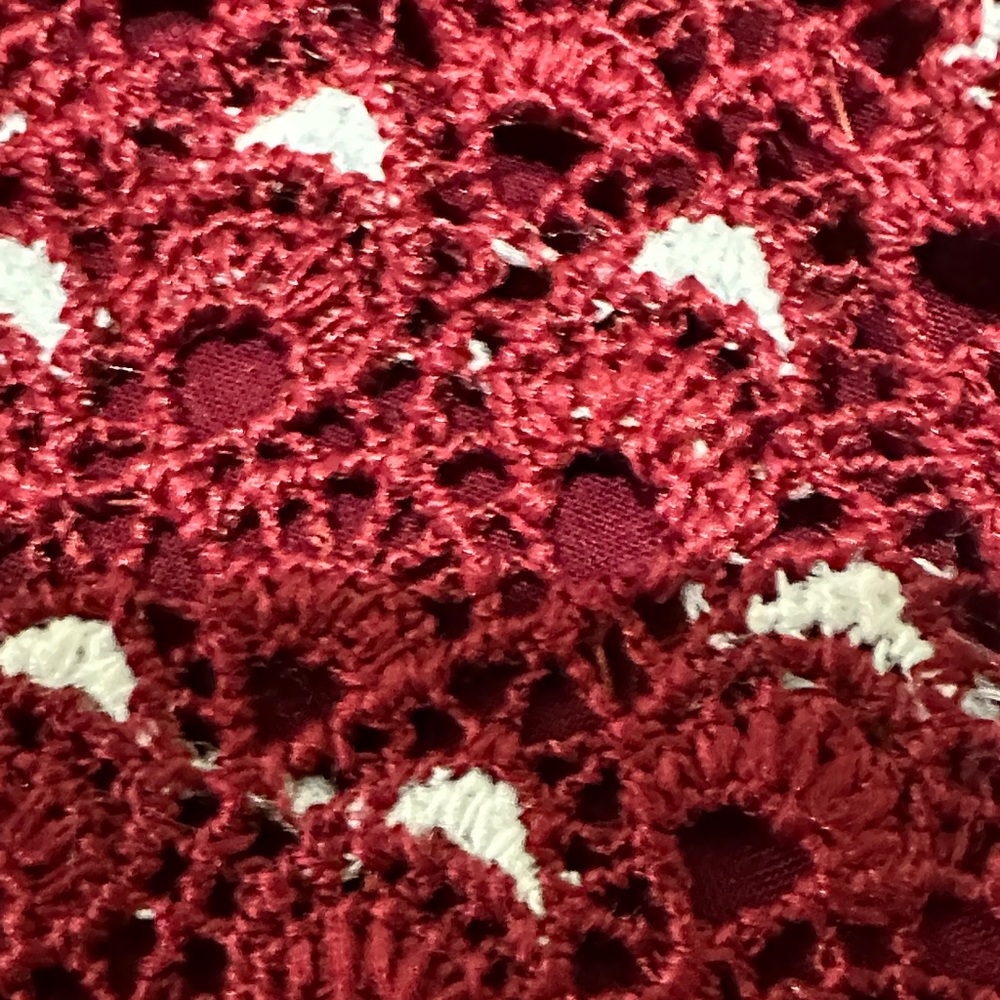 Anthropologie Daniel Rainn Lace Red and White Top XS - Picture 10 of 11